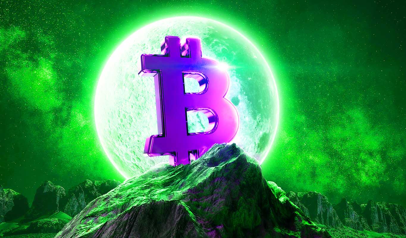 Controlling Bulls and Bears: The Ultimate Guide to Bitcoin's Cycle and Valuation System