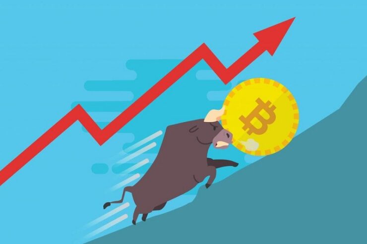 Bitcoin's market share fluctuated in 12 years, hiding the “evolutionary theory” of the crypto industry