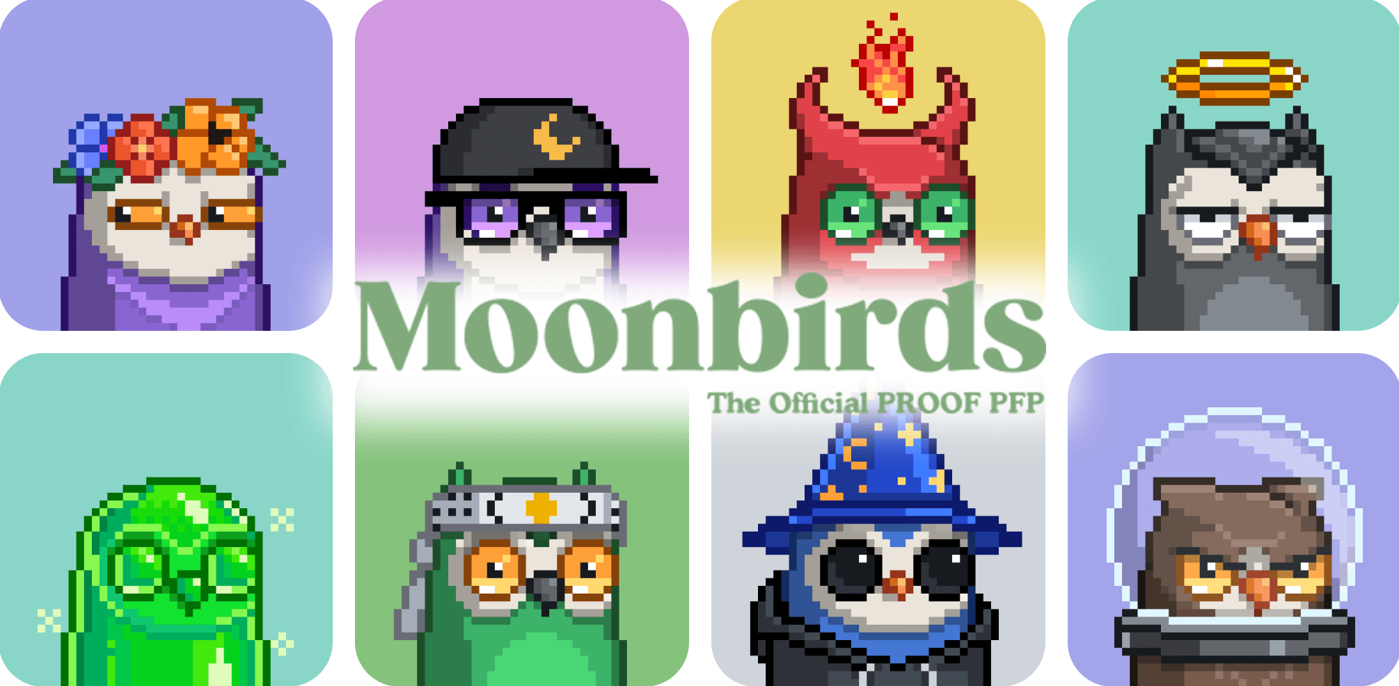 从 Proof Collective 到 Moonbirds,Proof 正在打造一个怎样的 NFT 生态系统?