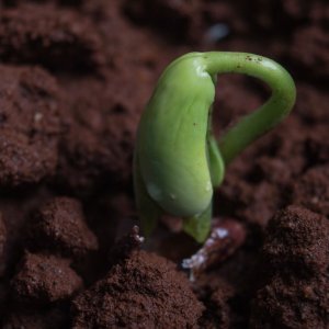 DeFi 的火种：一览最近获得融资的 5 个新项目