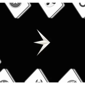 治理收益聚合器 Magpie 创新优势及其玩法