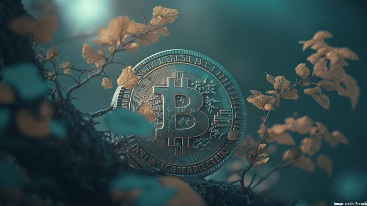 比特币生态的未来:从钱包到跨链技术的全新范式