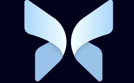 Pantera合伙人:读懂P2P借贷协议Morpho