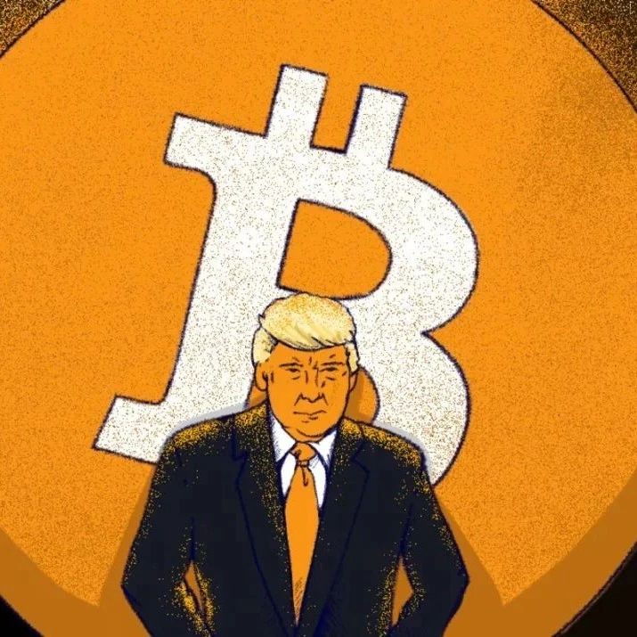 脱水观点:特朗普交易为比特币额外加分