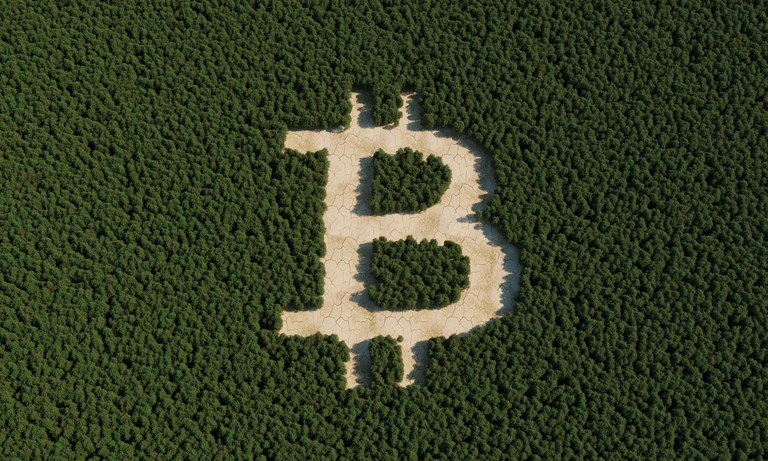 理解 Bitcoin：从 Free Software 到 Free Service