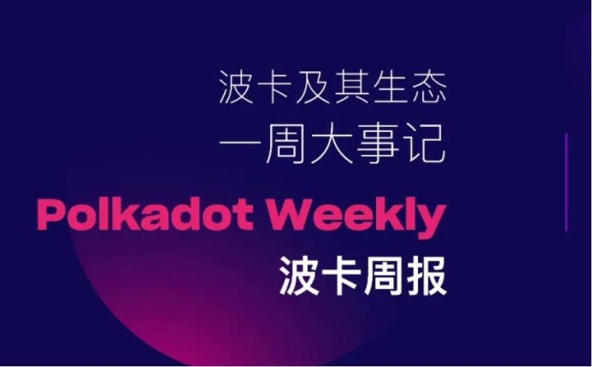 波卡周报 | Grayscale 提交 Polkadot ETF S-1 文件！Gavin 将直播对 DOT 经济改革的最新思考