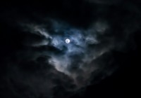 Cardano 代币 NIGHT 如何引爆单日近百亿美元交易量?