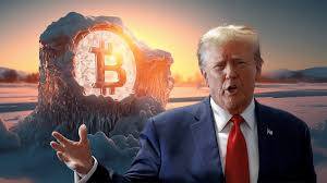 执政一周年:特朗普将总统权力装入加密钱包