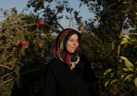 阿富汗稳定币:一个被忽视的加密创新现场