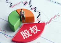 不再 All-in 波动率:为什么我开始关注 Crypto 类股权资产