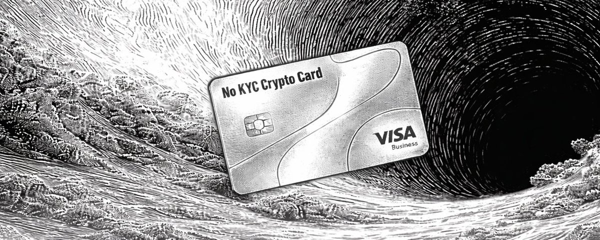 宣称“免KYC全球支付”,迎来6个月内的必然关停