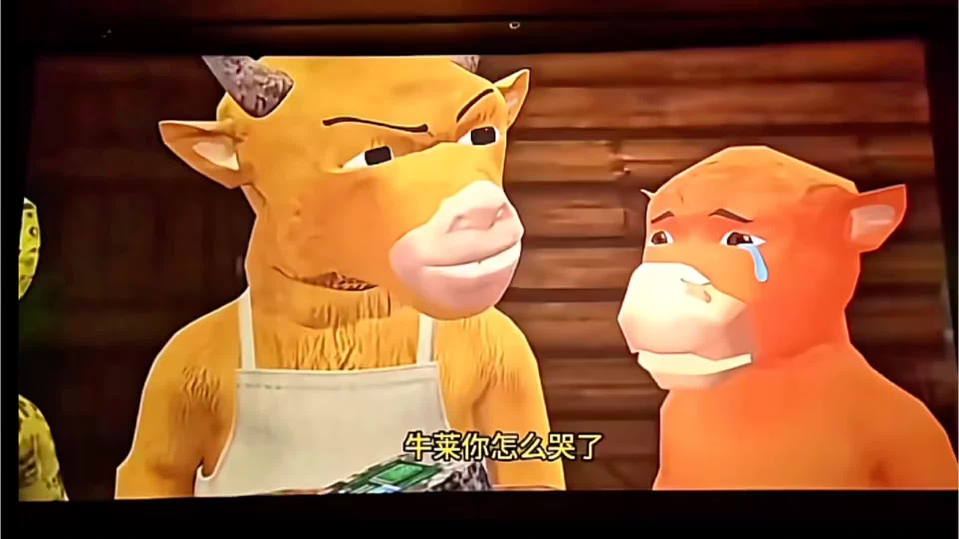 发币的全程踏空!押中下一个「牛来」有多难
