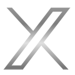 X AI