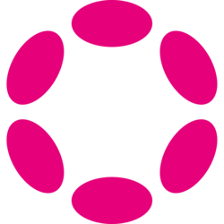 Polkadot Bridged DOT