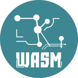 ZKWASM