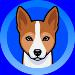 Basenji