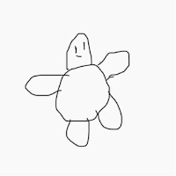 The Sloppy Drawn Turtle