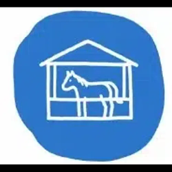 Stable Coin