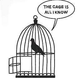 The cage is all I know