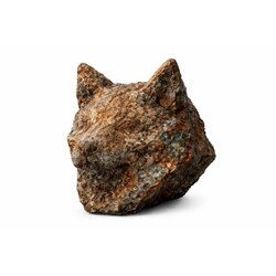 copper inu
