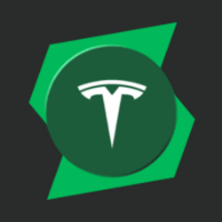 Direxion Daily TSLA Bull 2X ETF (SHIFT Series Token)