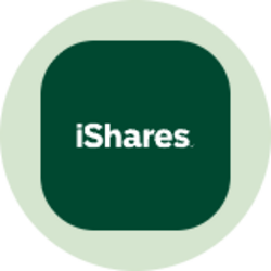 iShares J.P. Morgan EM Local Currency Bond ETF (Ondo Tokenized)