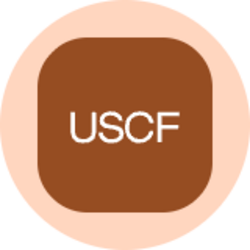 US Copper Index Fund (Ondo Tokenized)