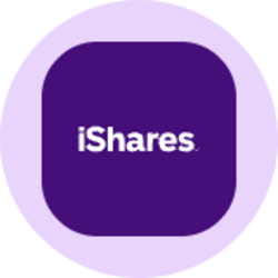 iShares Large Cap Core Active ETF (Ondo Tokenized)