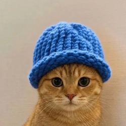 Catwifhat