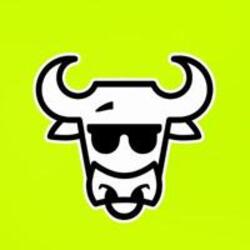 The Bull
