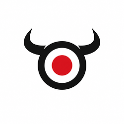 BULLS'S EYE