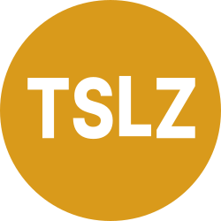 Tradr 2X Short TSLA Daily ETF aStock