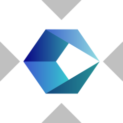Cognizant Technology Solutions xStock