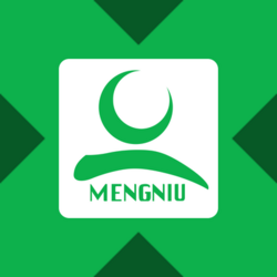 China Mengniu Dairy xStock