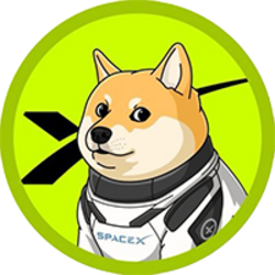 DOGE-1