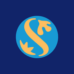Shinhan Financial Group Co Ltd rStock