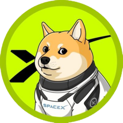 DOGE-1