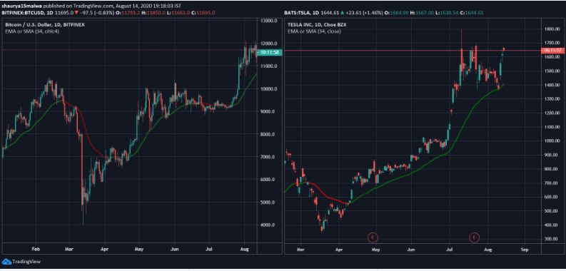 1597439150136483.jpg tesla btc.JPG