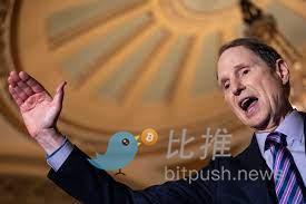 下载 (31).jpeg