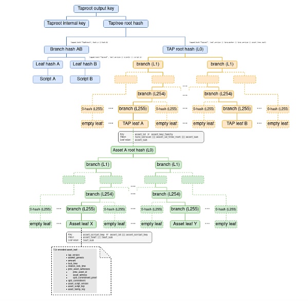 什么是Taproot Assets？如何发行？一文读懂Taproot Assets协议