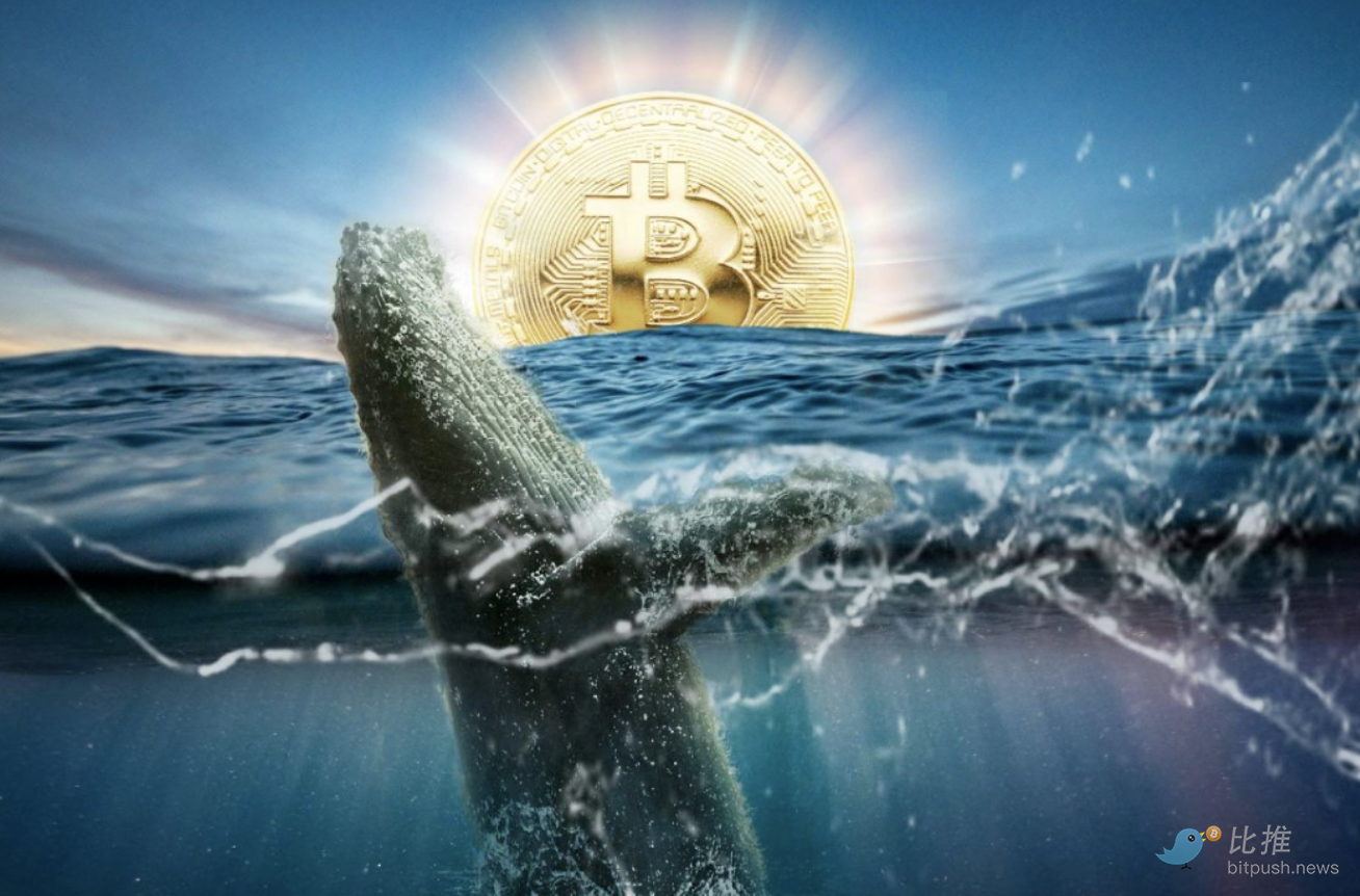 比特币”富豪榜”上的巨鲸们，现在怎么样了？ | 比推