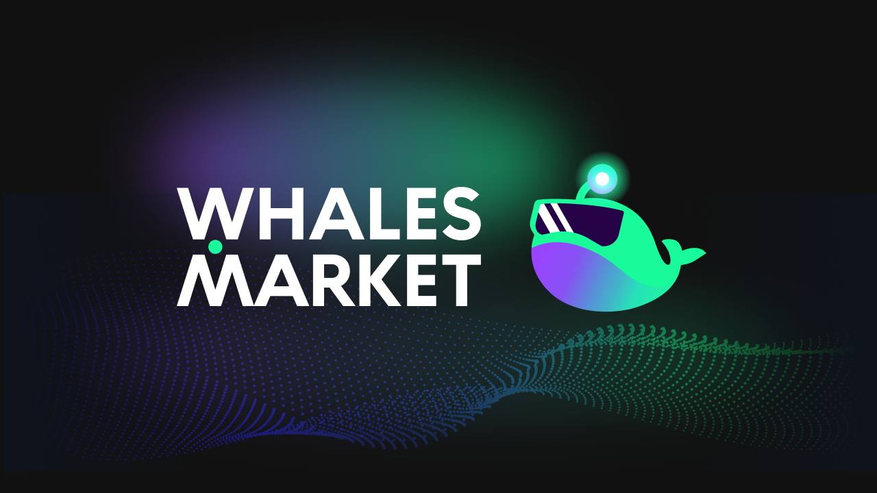 Whales Market创始人：将在未来12小时内退还多余筹资