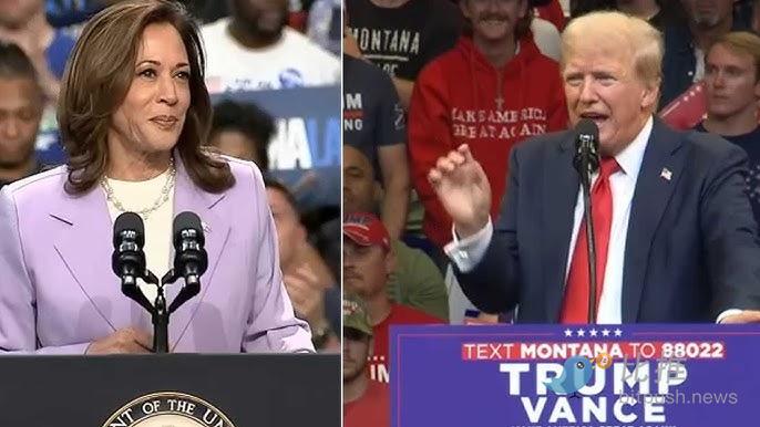 1729102226124152.png image.png