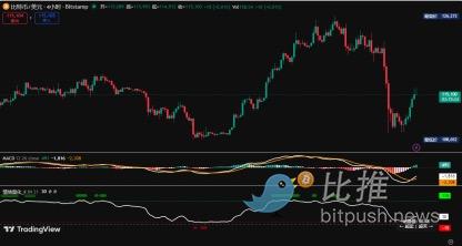 BTC周观察：市场暗语已出现？附动态止盈策略建议