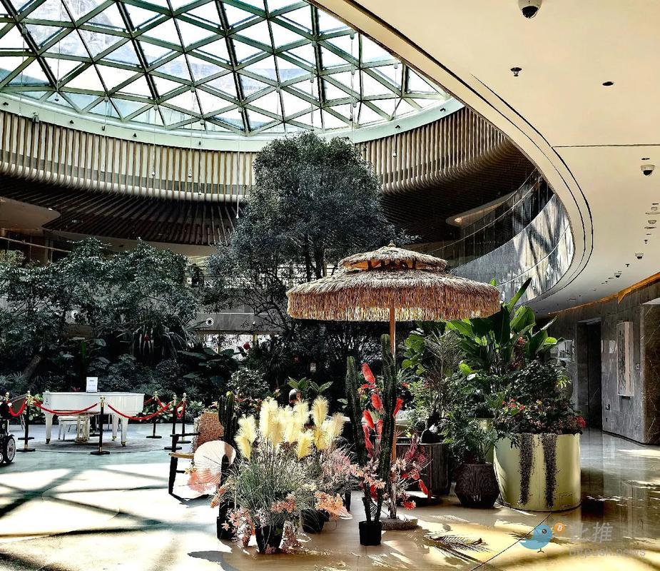 1764343137142964.jpg c3c8a4fc3c4b221e9b3c623f64b4a127.jpg