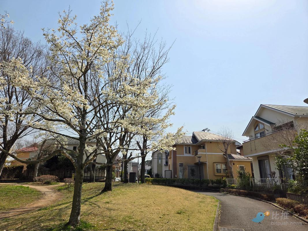 1764343108803538.jpg ec30e01b13c63c0b02c47f7c2941ab47.jpg