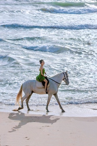 1768263221821704.png image.png