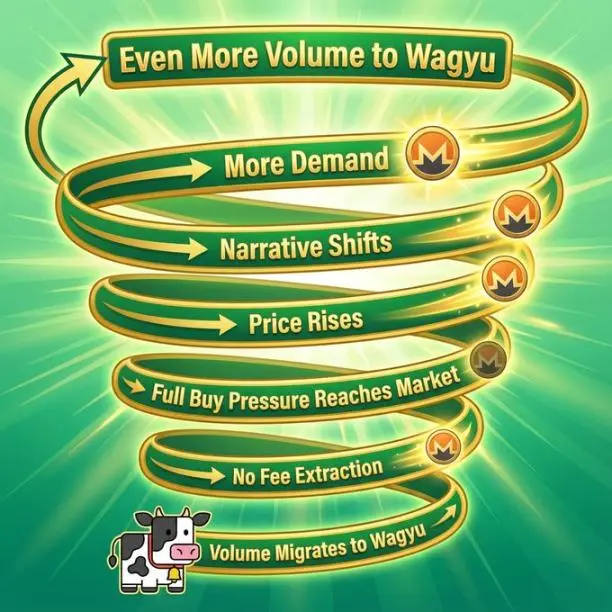 Wagyu 如何改变门罗币叙事：一个工具撬动多年的价格压制