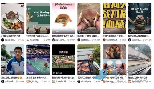 1772813375113539.png image.png