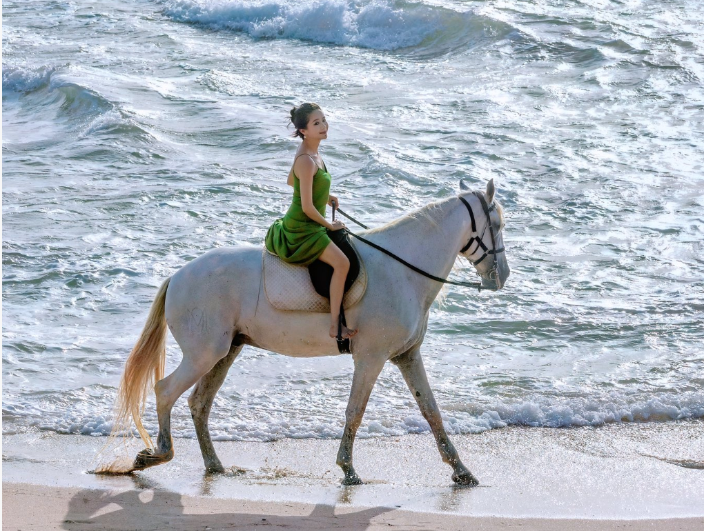 BSC 中文Meme大乱斗